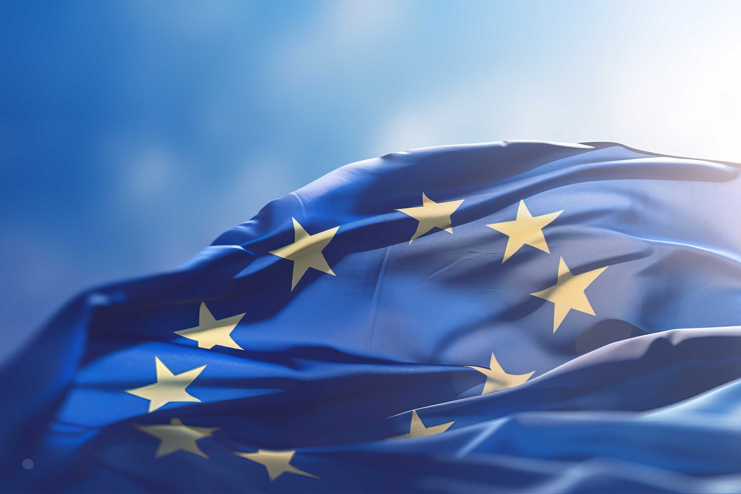 Catheter ablation photo